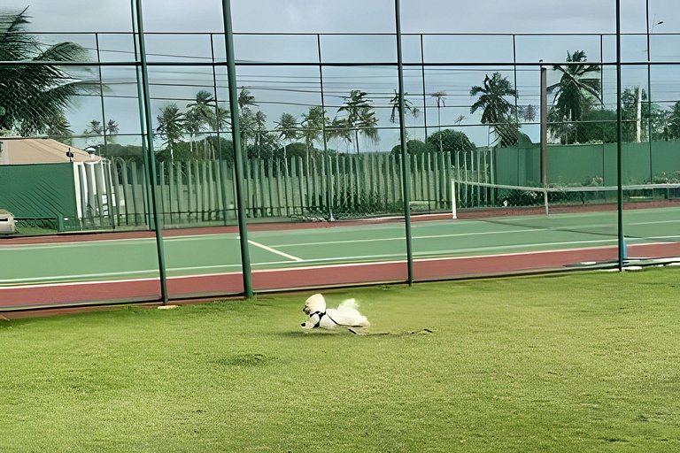 Malawi Muro alto- 102G térreo