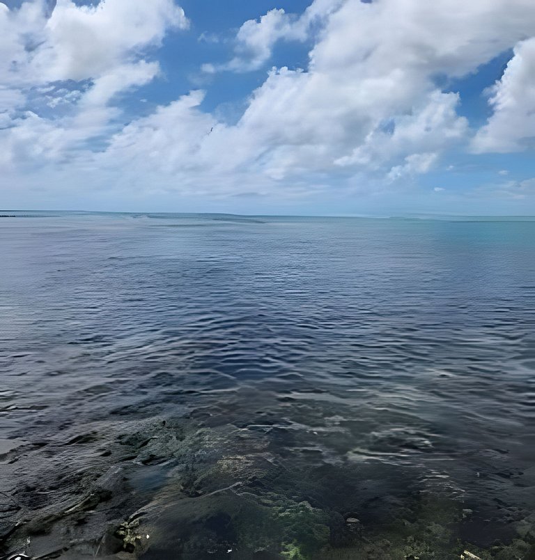 Flat Maui pé na areia Tamandare