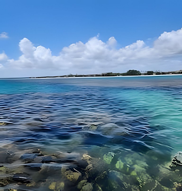 Flat Maui pé na areia Tamandare