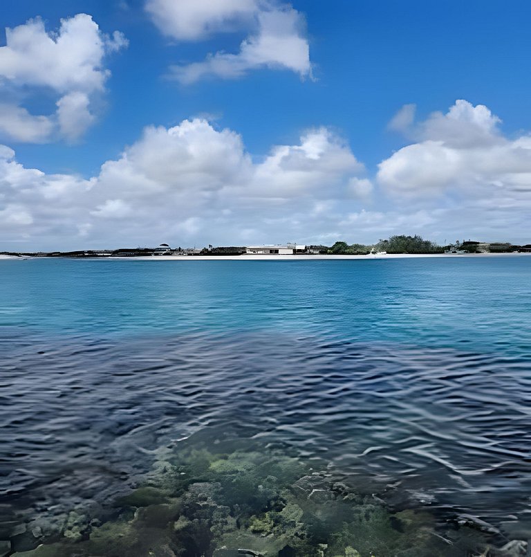 Flat Maui pé na areia Tamandare