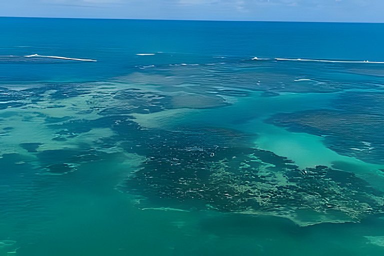 Flat Maui pé na areia Tamandare