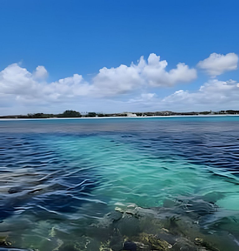 Flat Maui pé na areia Tamandare