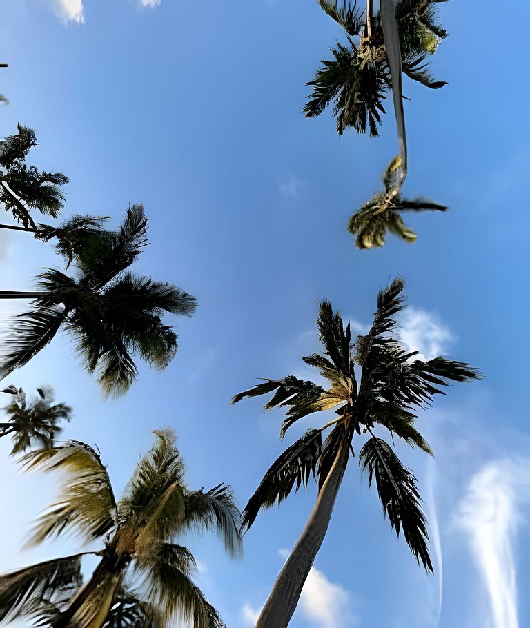 Bangalô na praia dos Carneiros com diarista